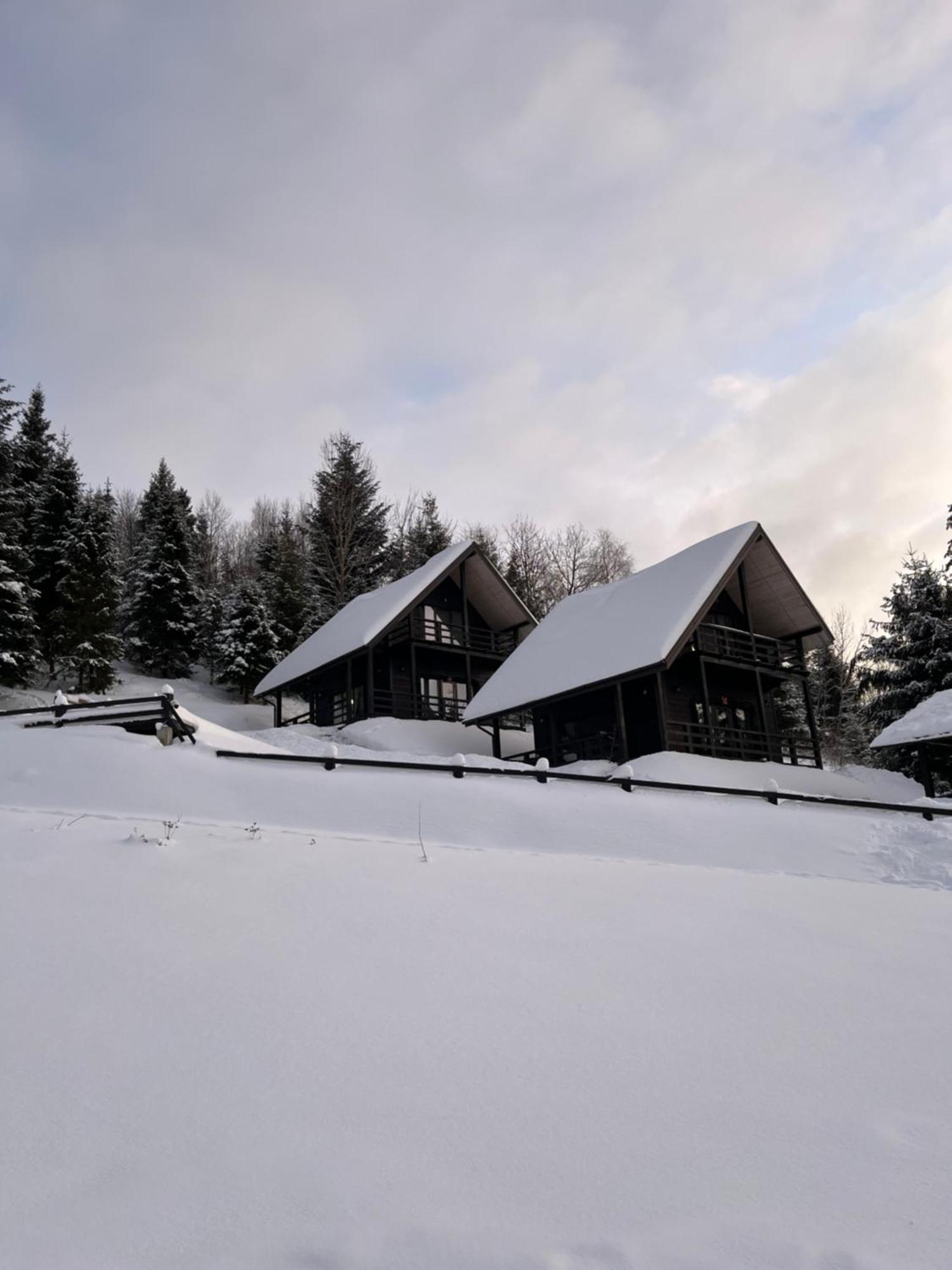 Cottages Shepit Lisu Rosokhach Экстерьер фото